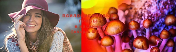 мяу мяу кристалл Алексин
